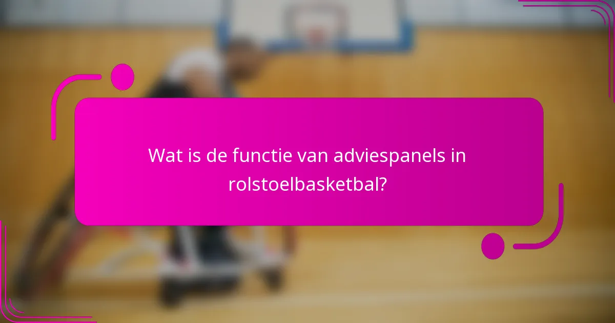Wat is de functie van adviespanels in rolstoelbasketbal?